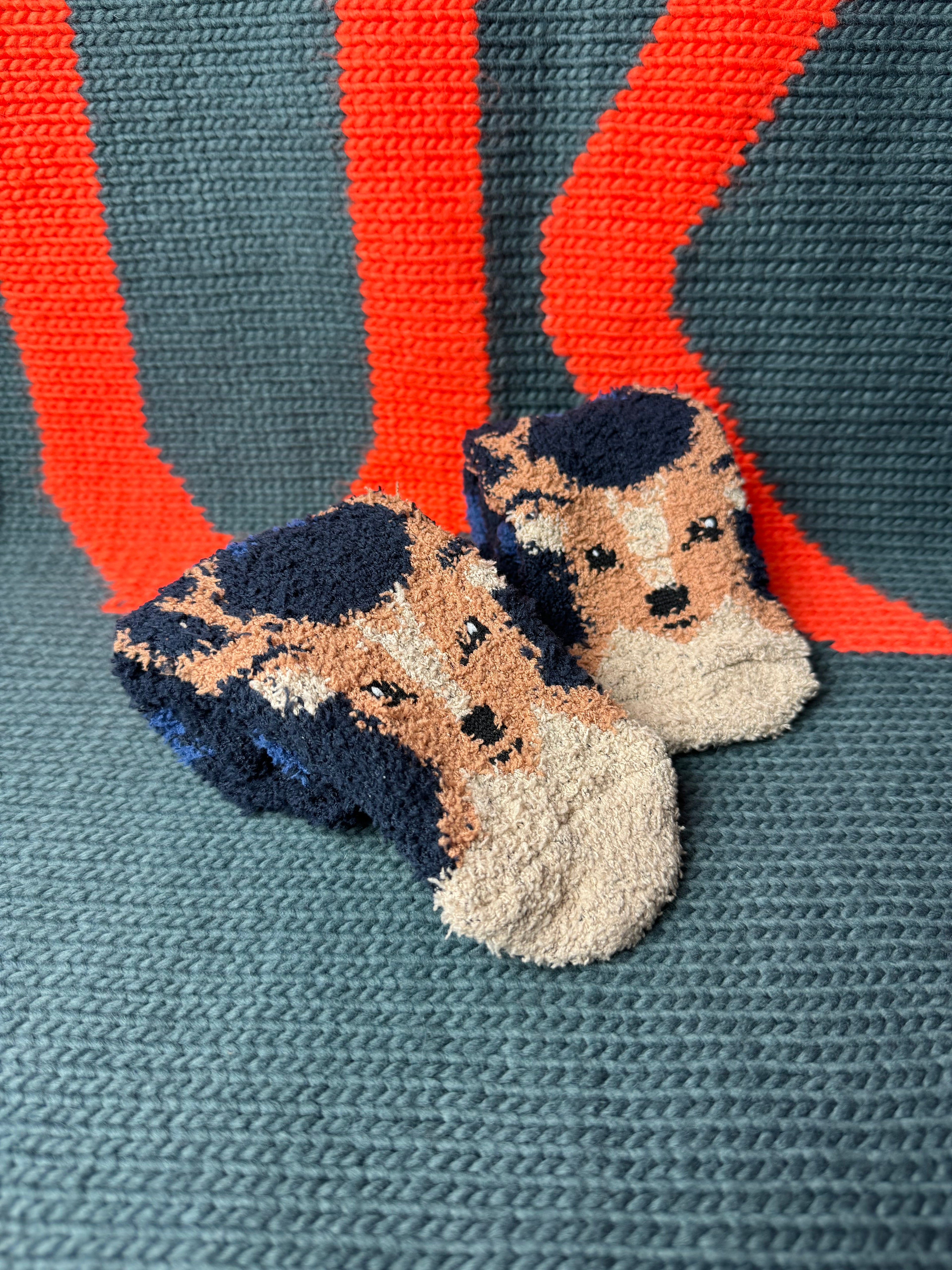 Mens 1pp Cosy Sock In A Box - Stag