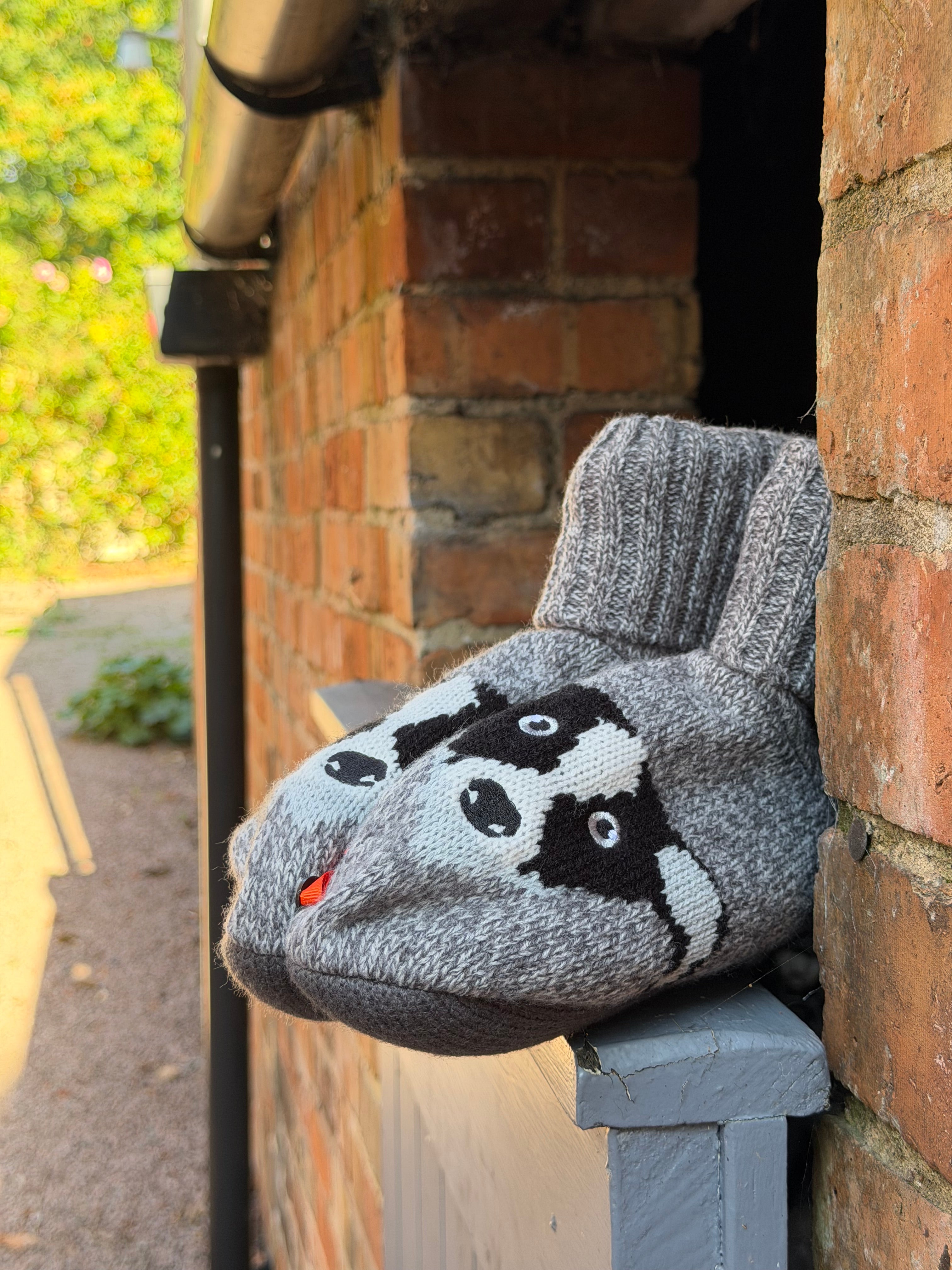 Men's Whippet Novelty Bootie