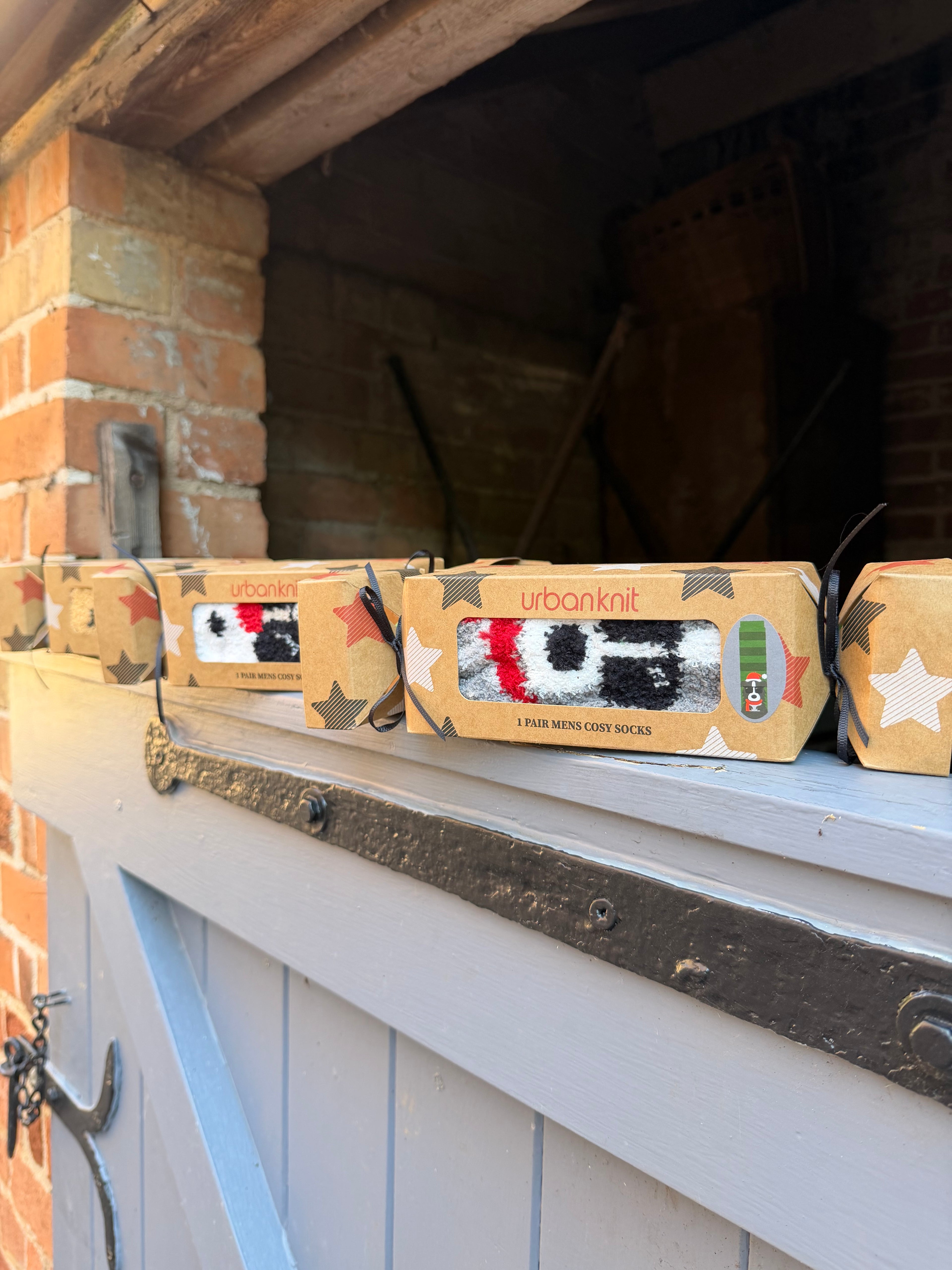 Men’s Christmas Cracker Sock Gift Box - Cosy Dog